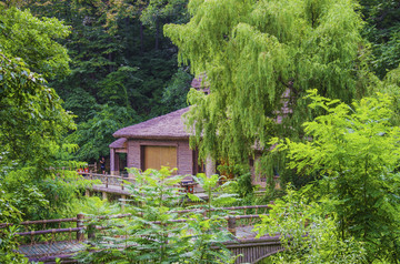 千山桃花谷溪茅芦木房与木桥山林