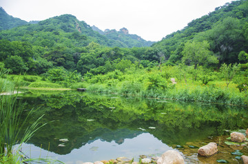 千山桃花溪谷与山峰水影