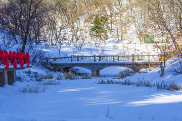 千山桃花溪谷步行木桥与湖上雪地