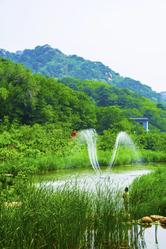 千山桃花溪谷喷泉与河流山林山峰