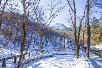 千山怡潭湖上雪地与弥勒宝塔山峰