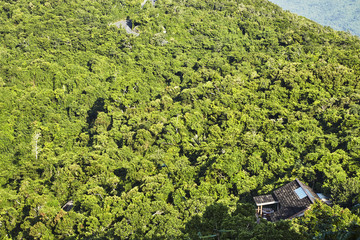 掩映在热带雨林中的民宿建筑