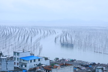 霞浦霞浦S弯