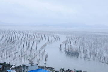 霞浦S弯