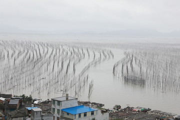 霞浦S弯