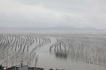 霞浦S弯