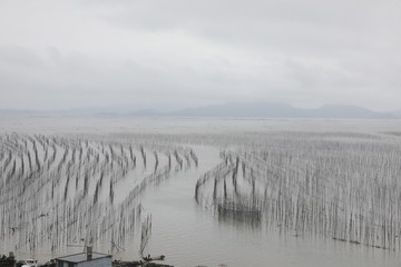 霞浦S弯