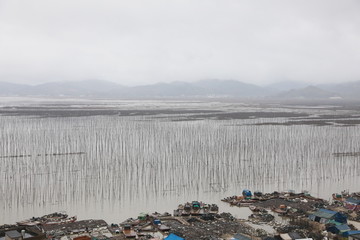 霞浦S弯