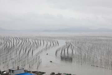 霞浦霞浦S弯