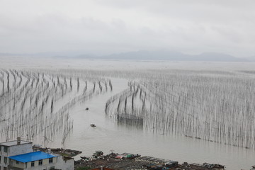 霞浦霞浦S弯