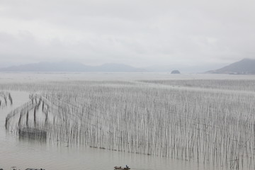 霞浦霞浦S弯