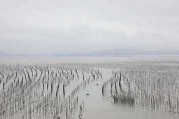 霞浦霞浦S弯