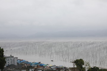 霞浦霞浦S弯