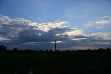 田园风景