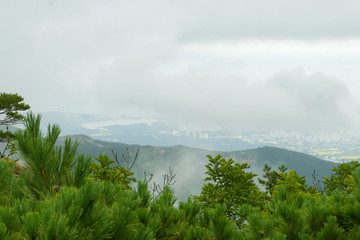 云雾缭绕的山峰和树林