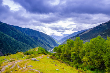 高山草地