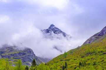 四姑娘山风光