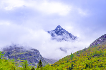 四姑娘山风光