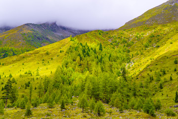 云雾群山