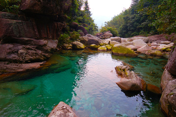 一池碧水