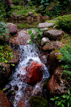 清清山泉