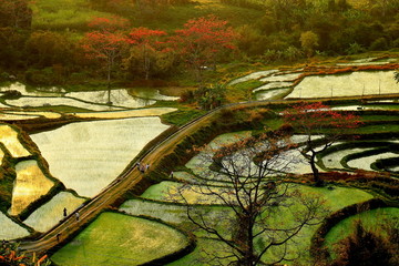 田园与远山