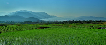 田园与远山