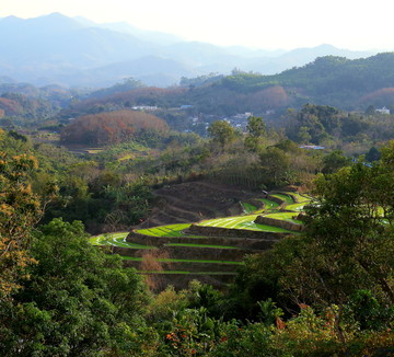 牙胡梯田