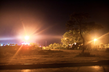 夜晚的灯光和树