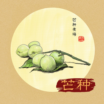 芒種