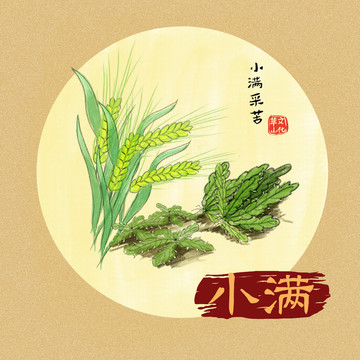 小滿