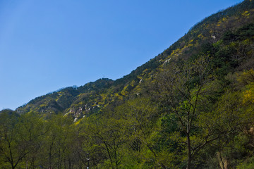 泰山桃花峪