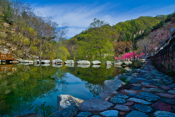 泰山桃花峪风光