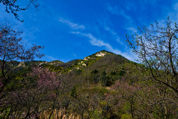 泰山风光