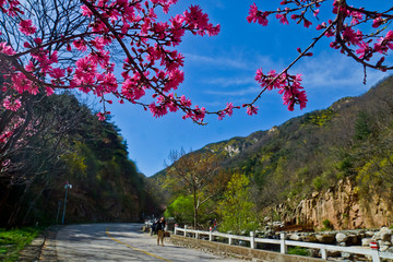 泰山桃花峪风光