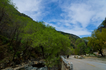 泰山桃花峪风光