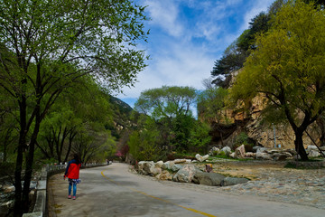 泰山桃花峪风光