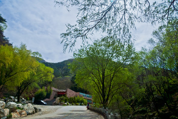 泰山桃花峪风光