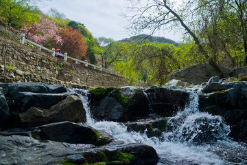 泰山桃花峪风光