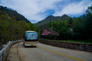 泰山桃花峪风光