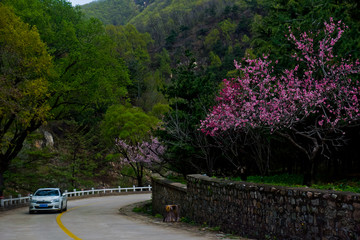 泰山桃花峪风光