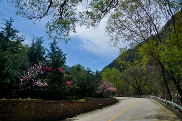 泰山桃花峪风光