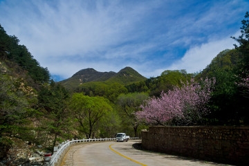 泰山桃花峪风光