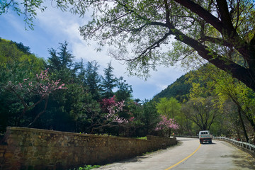 泰山桃花峪风光