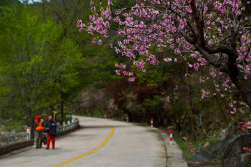 泰山桃花源风光