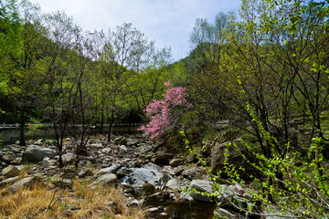 桃花峪风光