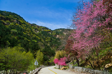 泰山桃花峪风光