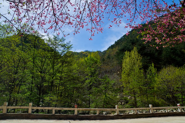 桃花峪风光