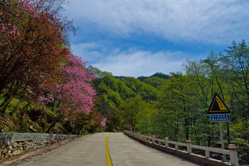 泰山桃花峪风光