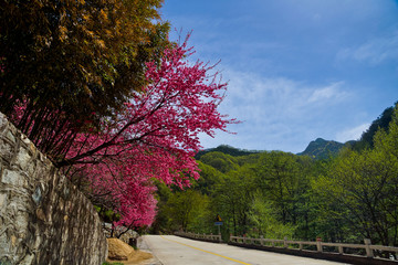 桃花峪风光